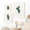 Poster "Round Cactus"