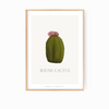 Poster "Round Cactus"